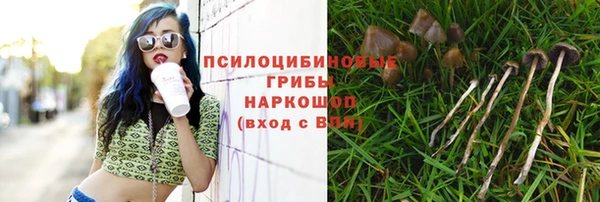 бутират Козельск