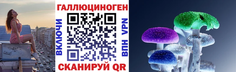 Псилоцибиновые грибы Psilocybine cubensis  Почеп 